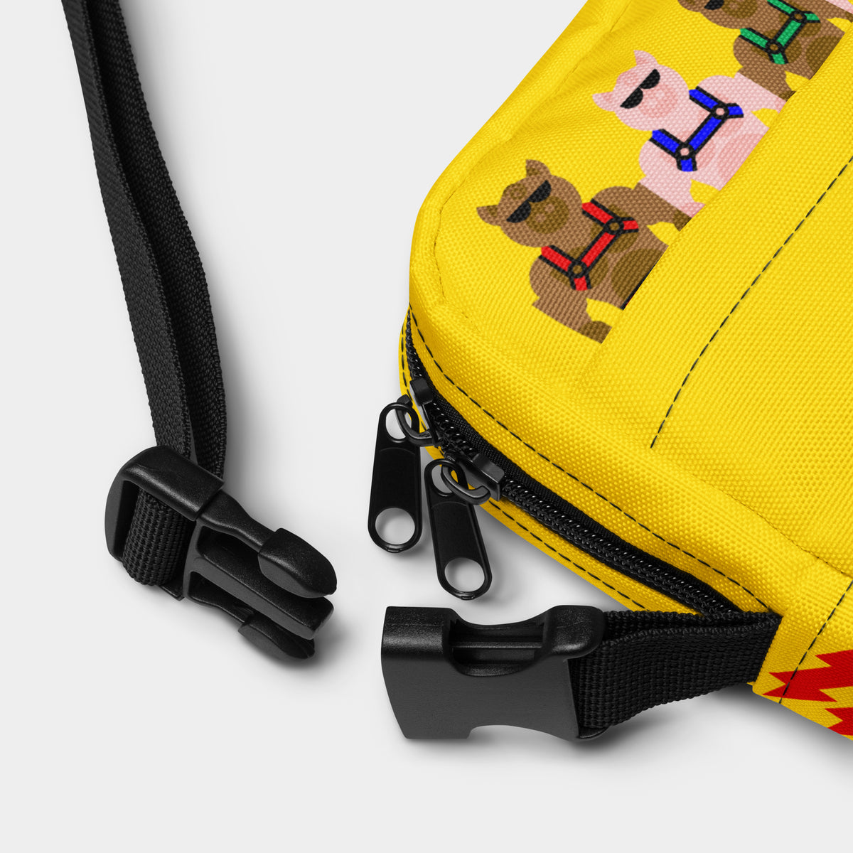 Play Pack Crossbody Bag