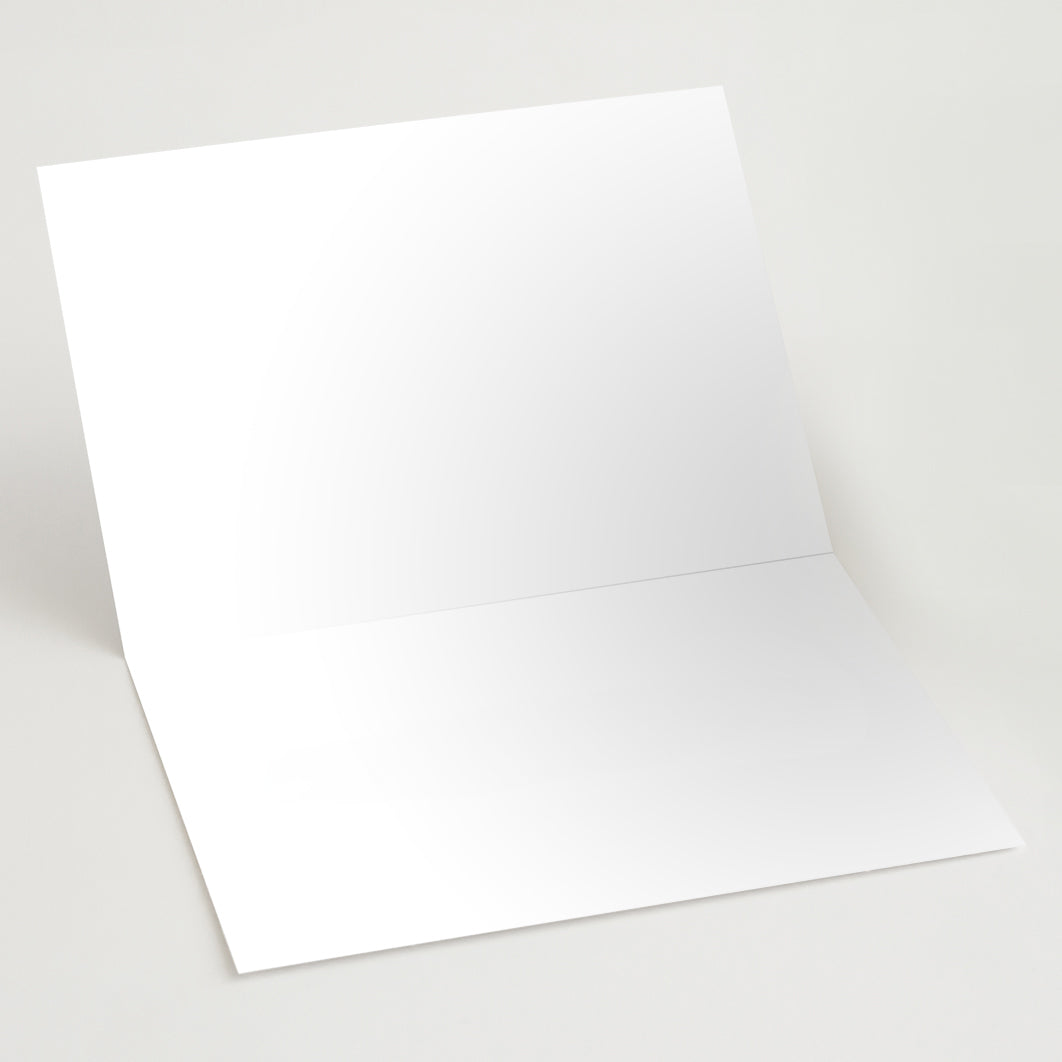 Ho Ho Homo Card 10-Pack – Blank Inside